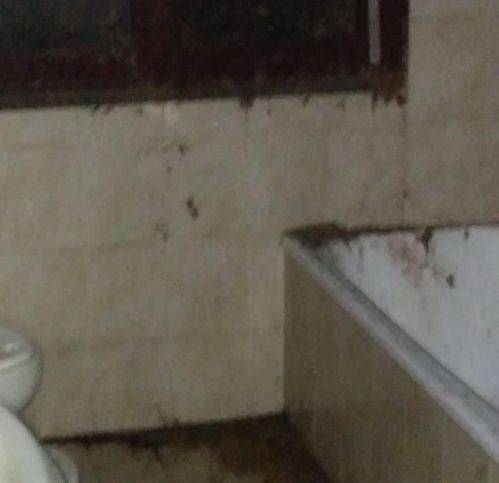 Rustico / casale a Polinago - Foto 5