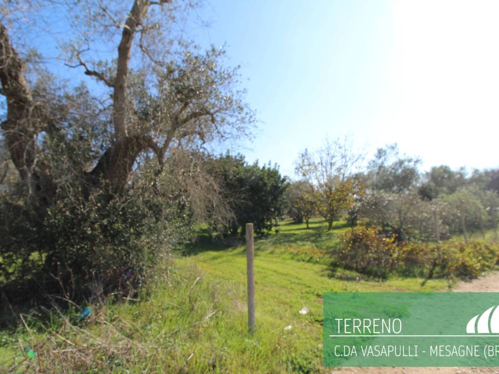 Terreno a Mesagne in Contrada Vasapulli - Foto 3