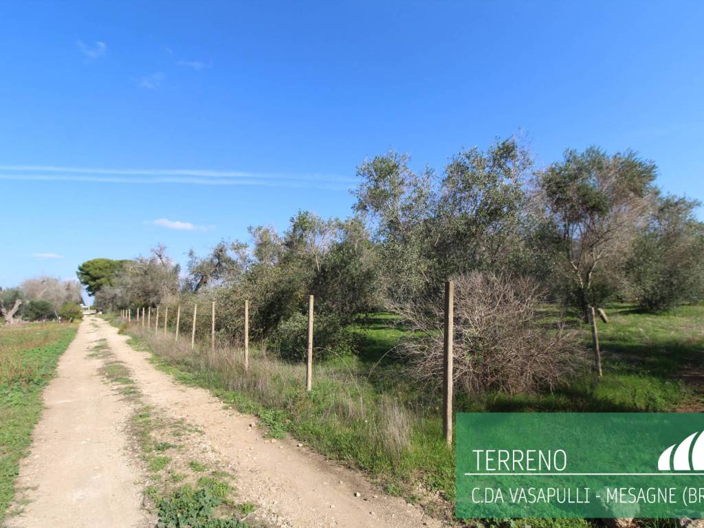Terreno a Mesagne in Contrada Vasapulli - Foto 4