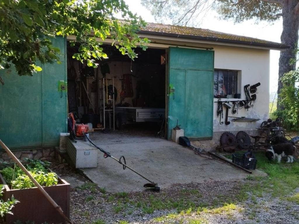 Casa indipendente a Orbetello - Foto 4