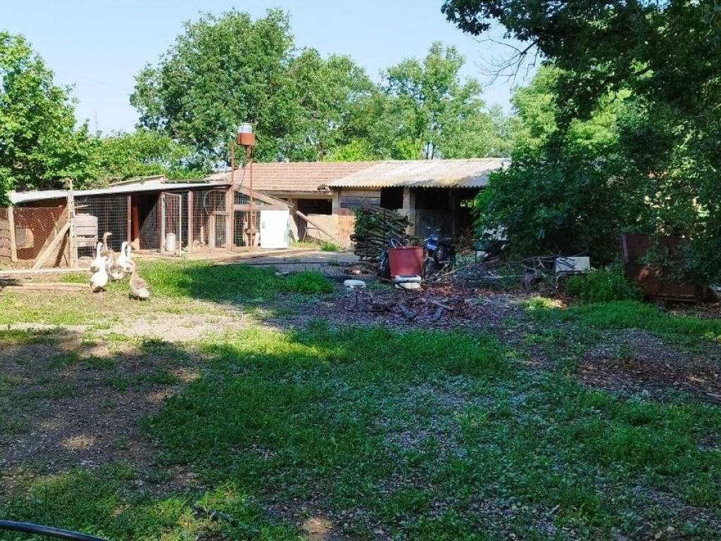 Casa indipendente a Orbetello - Foto 5