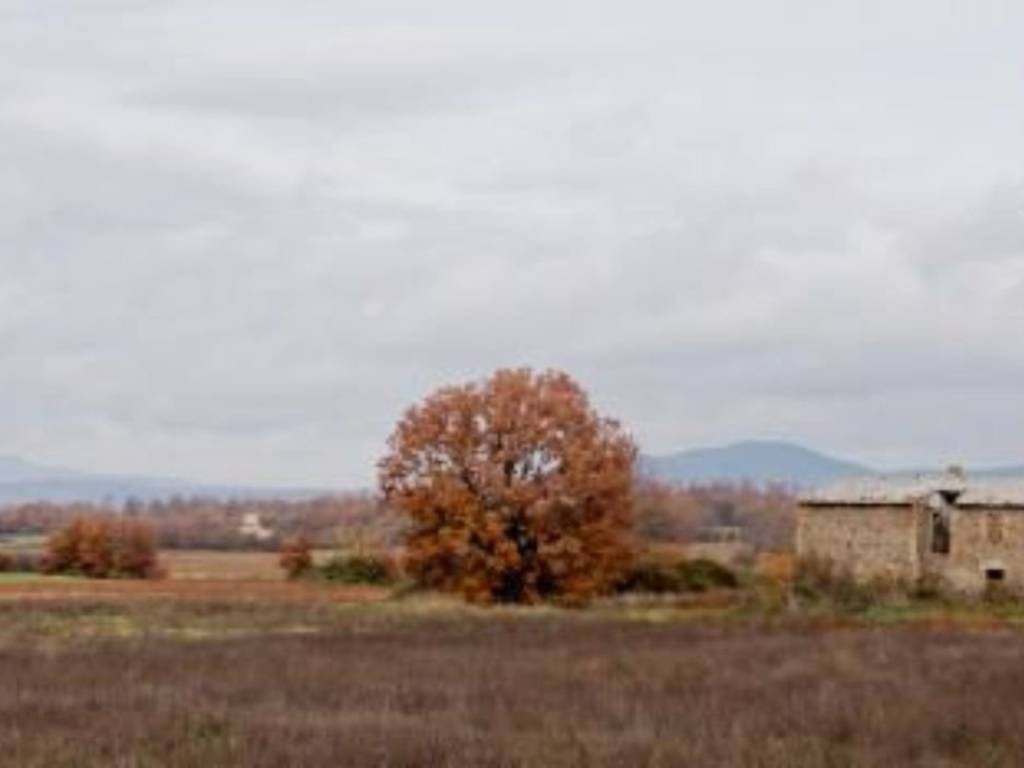 Rustico / casale a Acquapendente in Sopra Lago Bolsena S.N.C. - - Foto 3