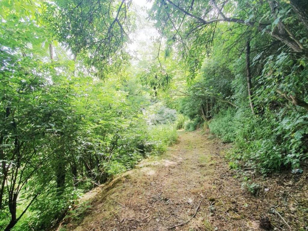 Rustico / casale a Acquapendente in Via Francigena Casale + Terreno S.N.C. - - Foto 4