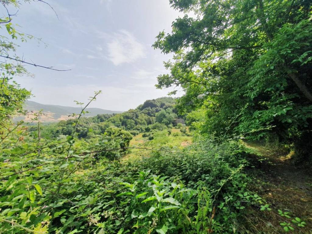 Rustico / casale a Acquapendente in Via Francigena Casale + Terreno S.N.C. - - Foto 5