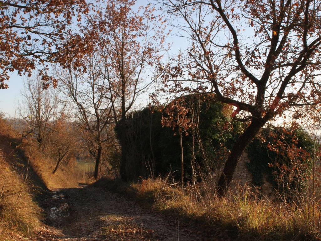 Rustico / casale a Cantalice in Unnamed Road - Foto 4