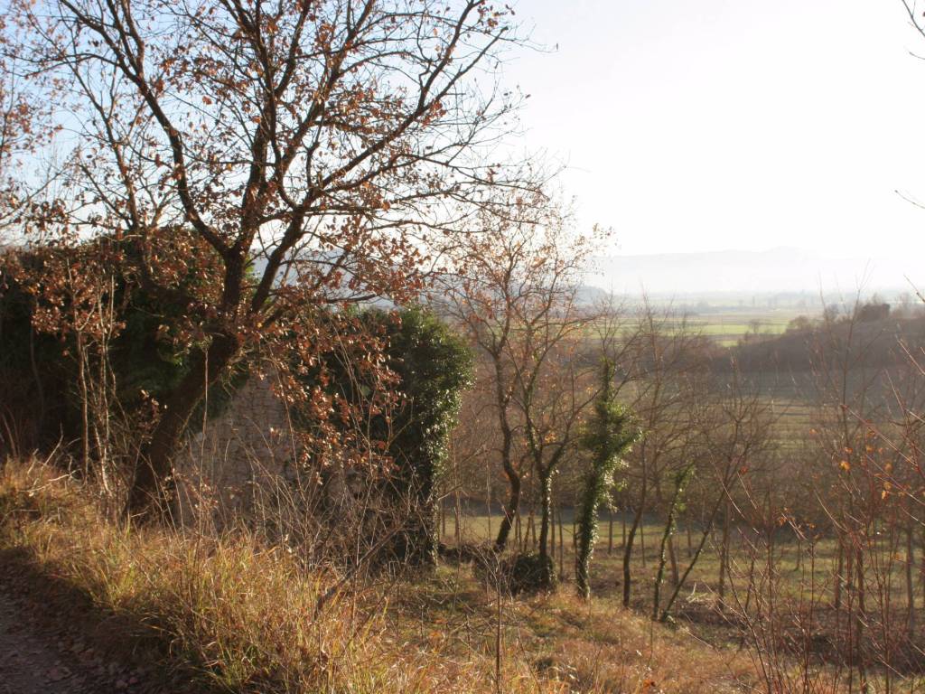 Rustico / casale a Cantalice in Unnamed Road - Foto 5