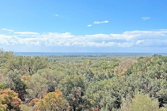 Villa a Manduria - Foto 4