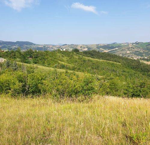 Terreno a Serramazzoni in Riccò - Foto 2