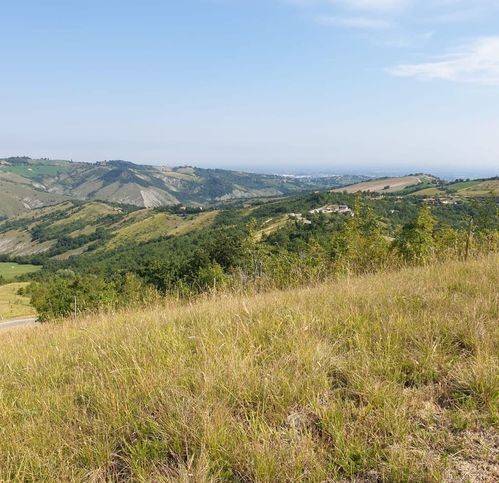 Terreno a Serramazzoni in Riccò - Foto 3