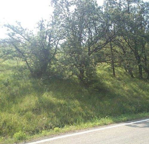 Terreno a Serramazzoni in Riccò - Foto 4