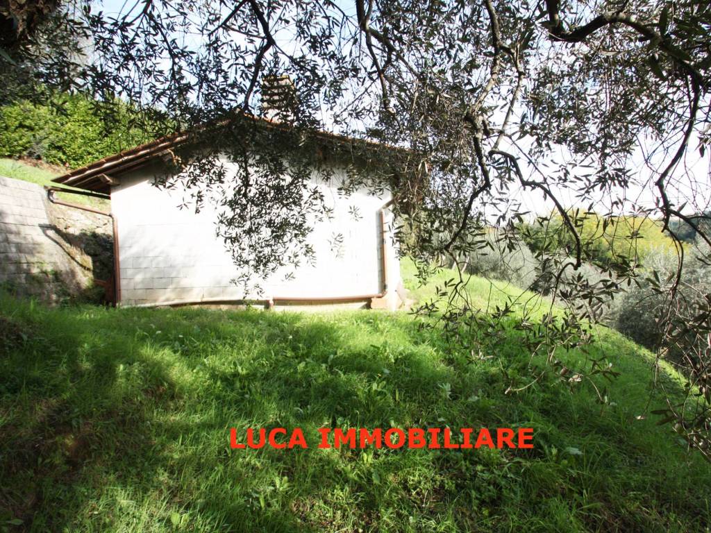 Terreno a Buggiano in Via Campioni, 2 - Foto 3
