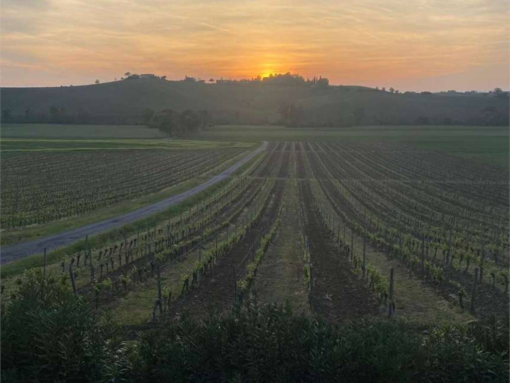 Terreno a Piacenza - Foto 4