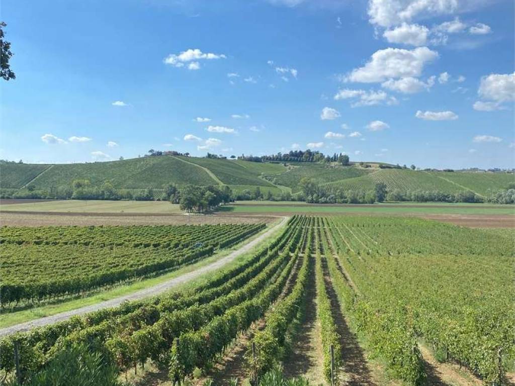 Terreno a Piacenza - Foto 5