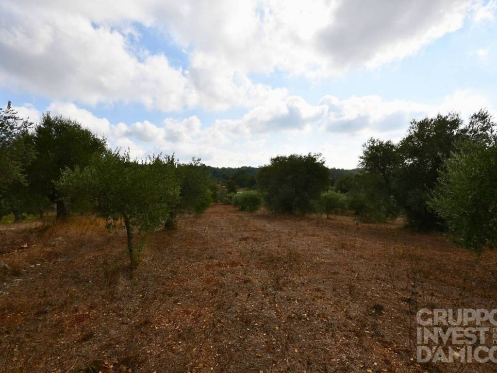 Terreno a Ostuni in Contrada Formica - Foto 2
