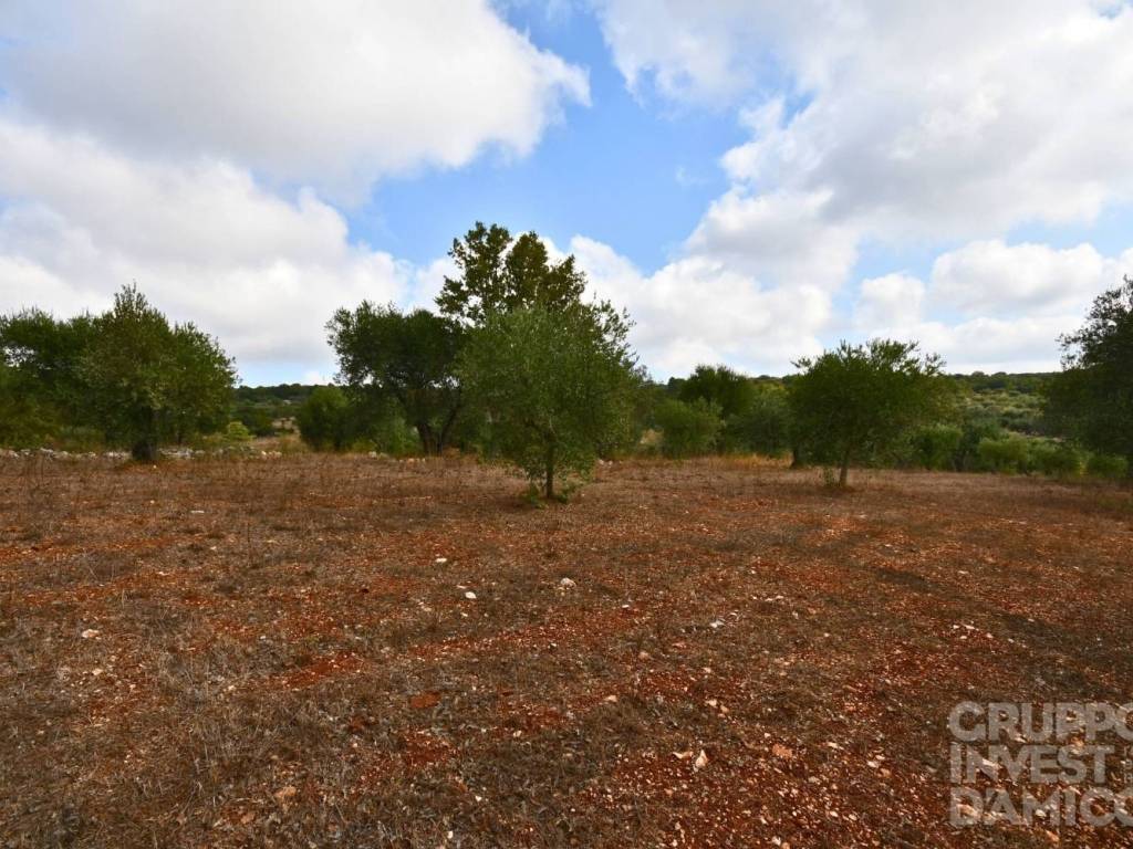 Terreno a Ostuni in Contrada Formica - Foto 3