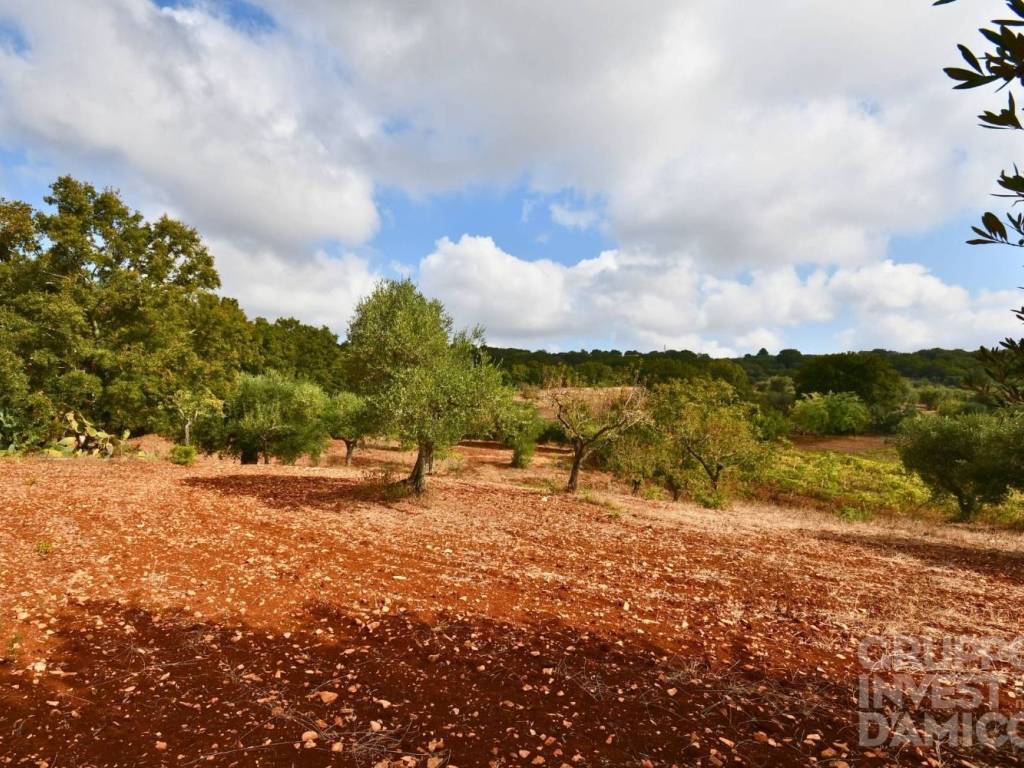 Terreno a Ostuni in Contrada Formica - Foto 5