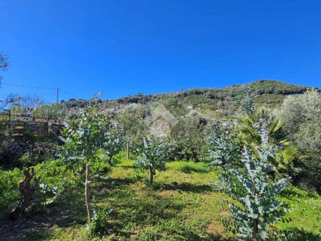 Terreno a Taggia in Via Beglini SNC - Foto 2