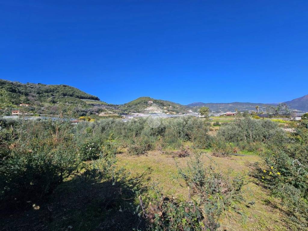 Terreno a Taggia in Via Beglini SNC - Foto 3