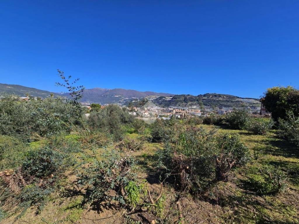 Terreno a Taggia in Via Beglini SNC - Foto 4
