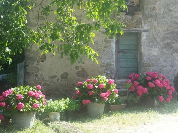 Terreno a Sant'agata feltria in BARBERINI - Foto 3