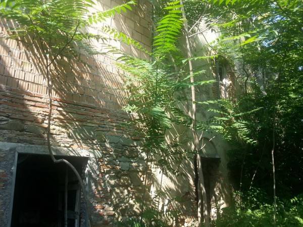 Terreno a Sant'agata feltria in BARBERINI - Foto 4