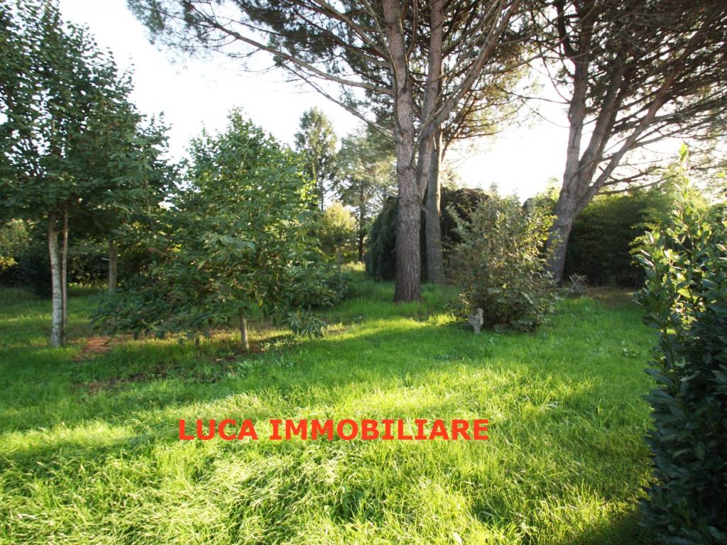 Casa indipendente a Buggiano in Via Carpinocchio - Foto 3