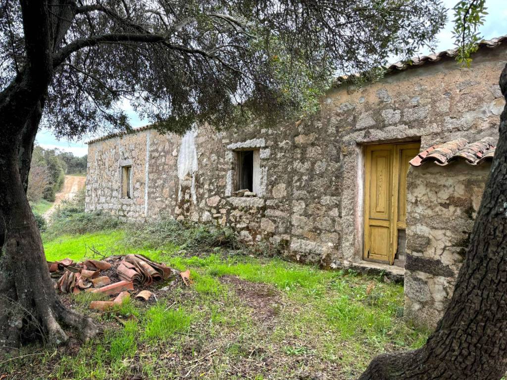 Terreno a Luogosanto - Foto 2