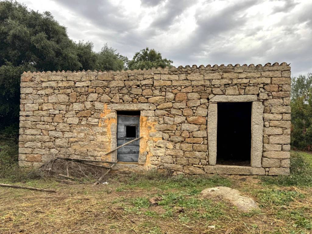 Terreno a Luogosanto - Foto 3