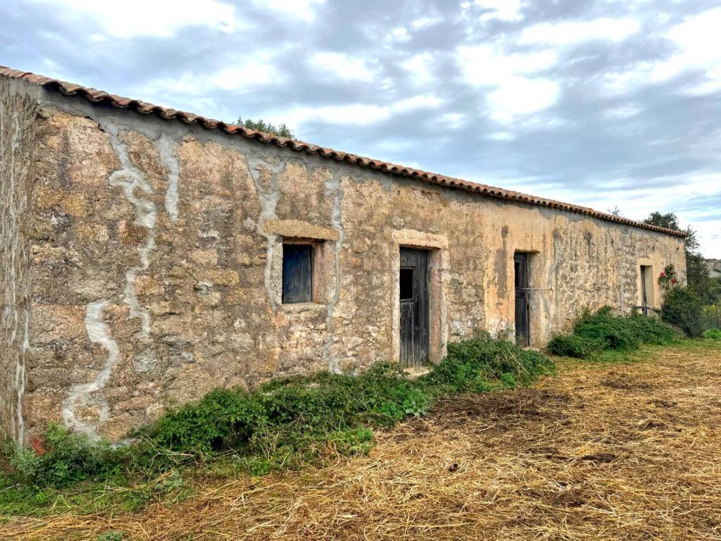 Terreno a Luogosanto - Foto 4