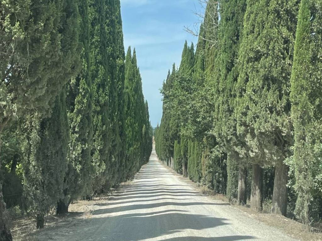 Terreno a Castelnuovo berardenga in Strada Comunale 23 - Foto 2