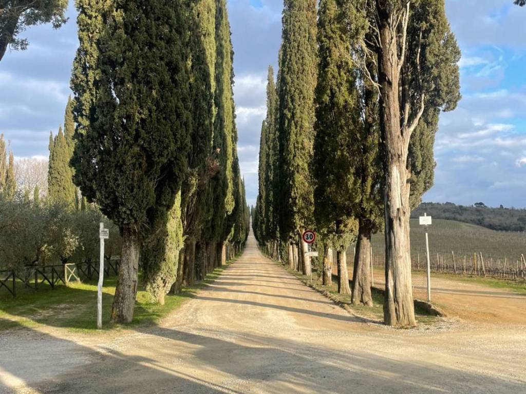 Terreno a Castelnuovo berardenga in Strada Comunale 23 - Foto 3