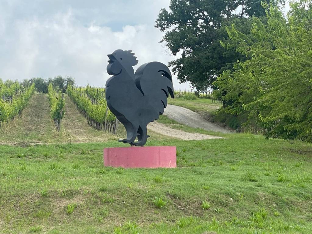 Terreno a Castelnuovo berardenga in Strada Comunale 23 - Foto 4