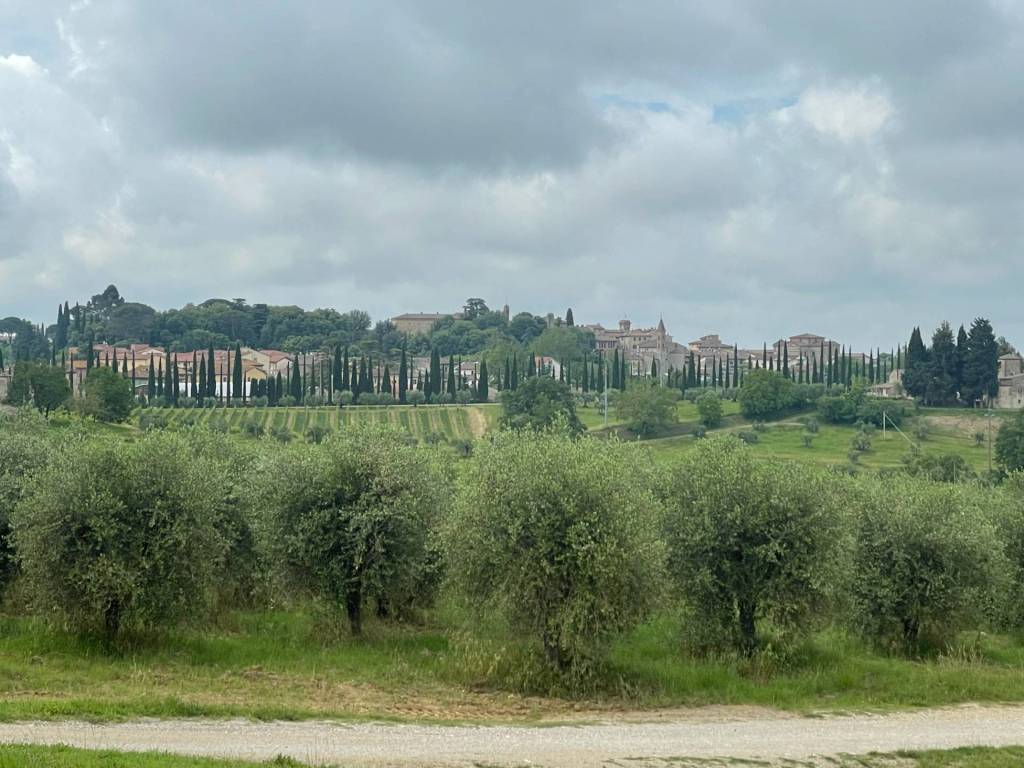 Terreno a Castelnuovo berardenga in Strada Comunale 23 - Foto 5