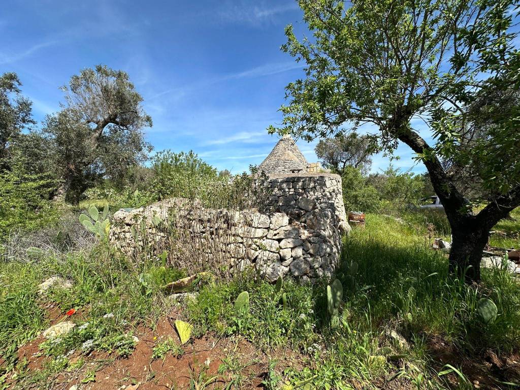 Rustico / casale a Ceglie messapica in Via Madonna della Grotta - Foto 3