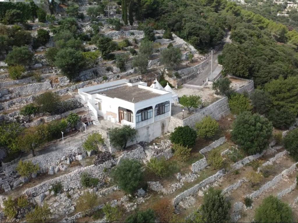 Rustico / casale a Fasano in SS172dir - Foto 3