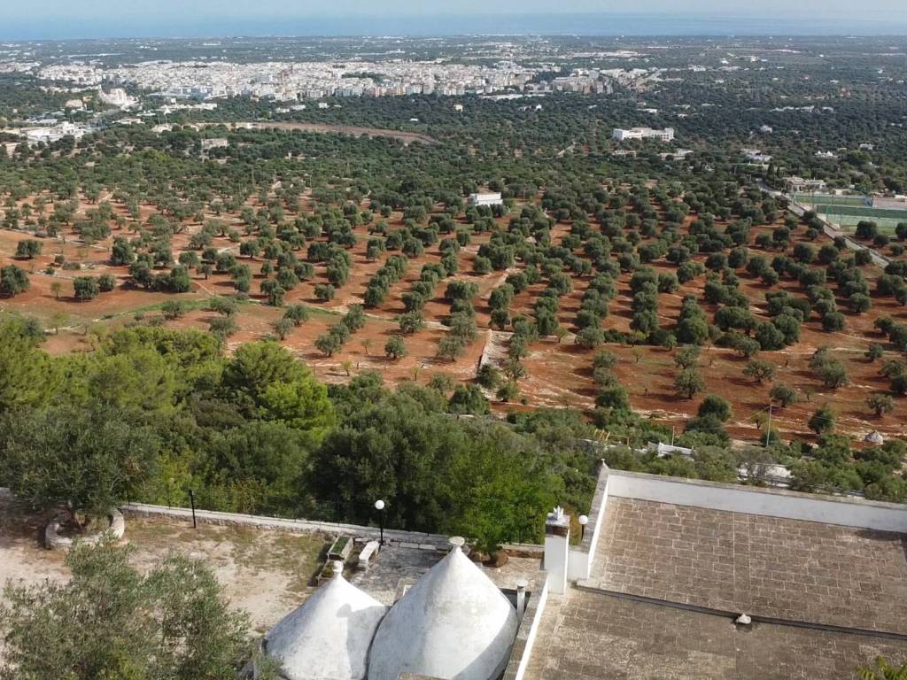 Rustico / casale a Fasano in SS172dir - Foto 5