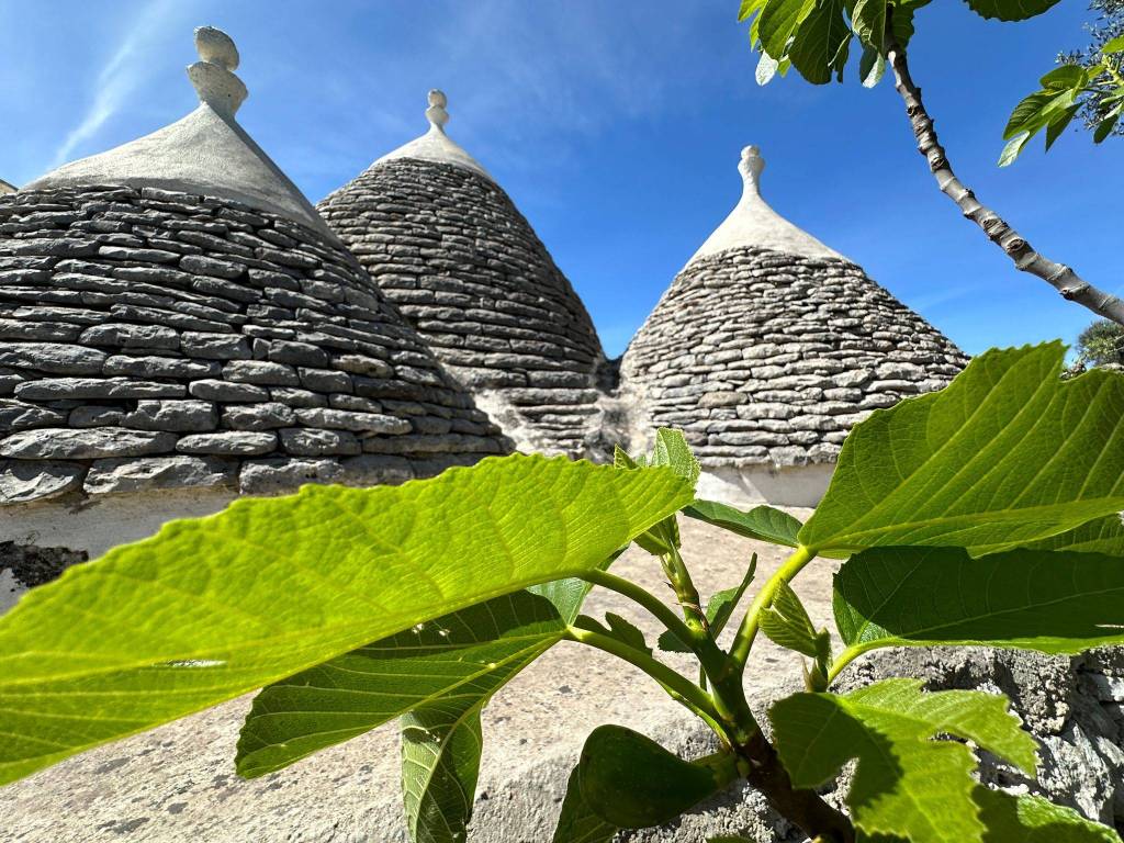 Rustico / casale a Ceglie messapica in sp27 - Foto 5