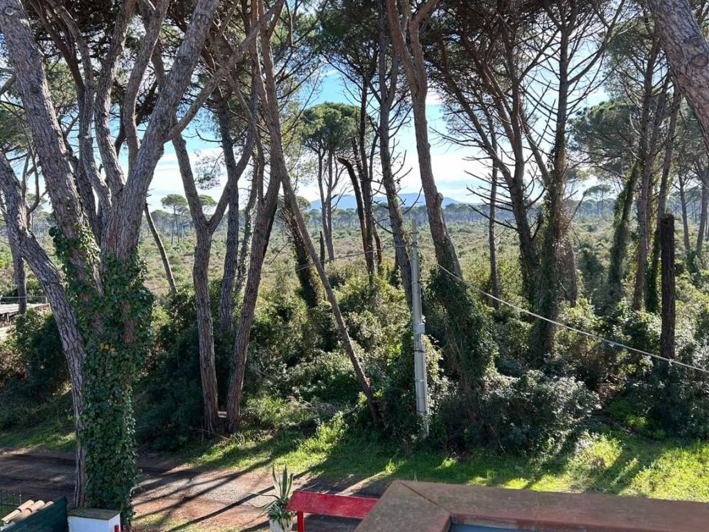 Appartamento a Grosseto - Foto 4