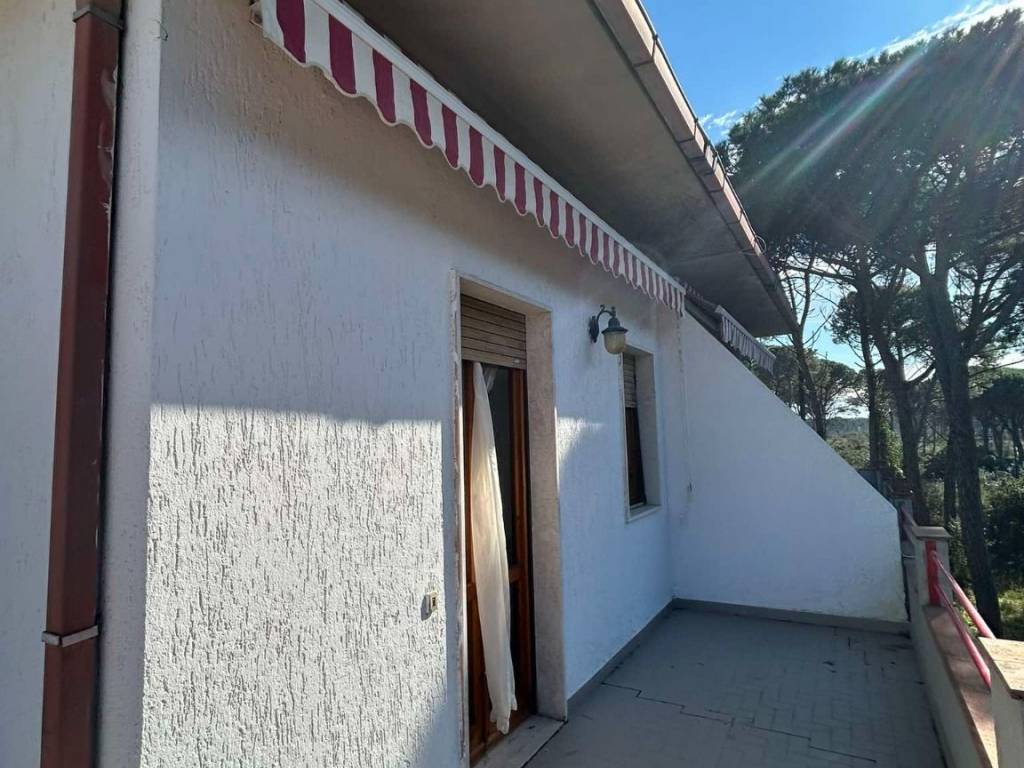 Appartamento a Grosseto - Foto 5