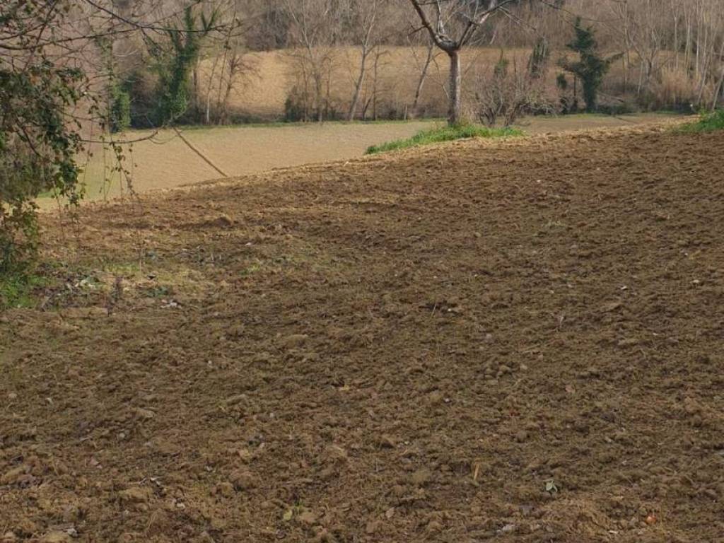 Terreno a Corridonia in Contrada Mose S.N.C. - Foto 2