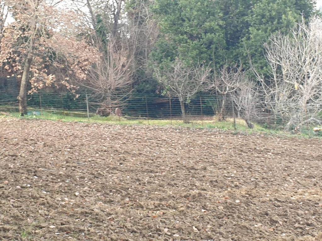 Terreno a Corridonia in Contrada Mose S.N.C. - Foto 4
