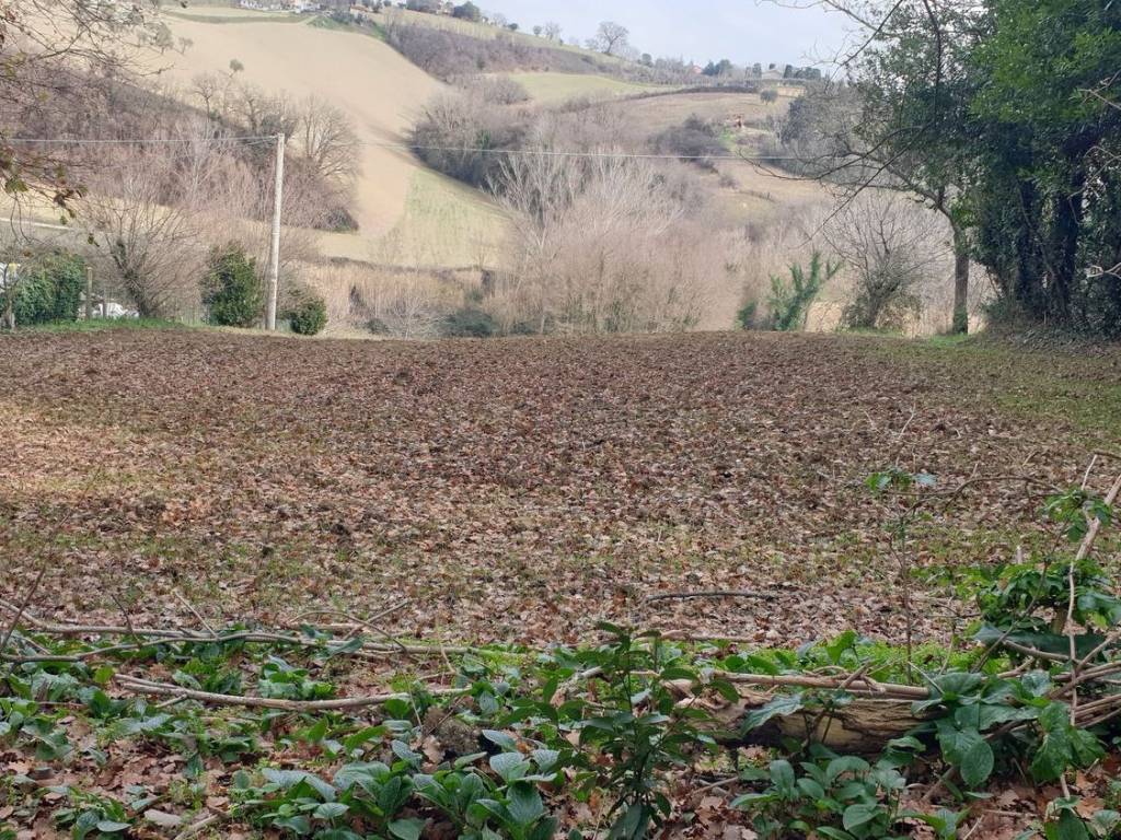 Terreno a Corridonia in Contrada Mose S.N.C. - Foto 5