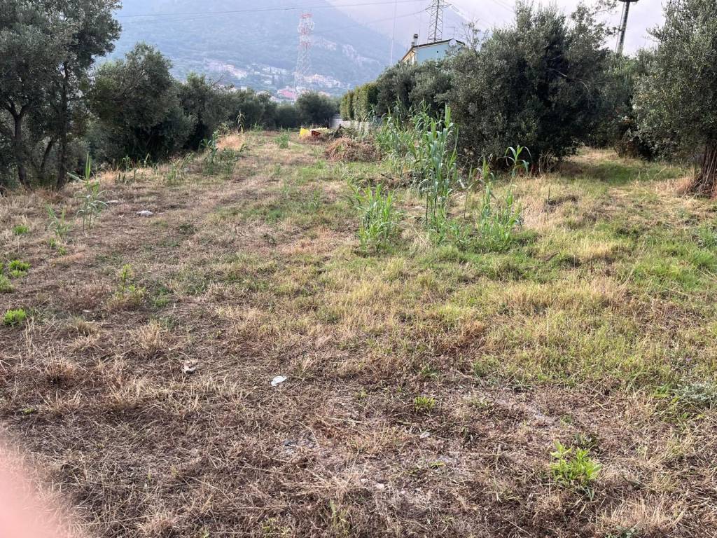 Terreno a Boissano in Via Colle - Foto 2