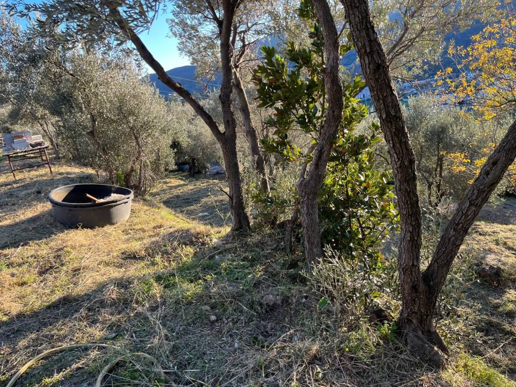 Terreno a Boissano in Via Colle - Foto 5
