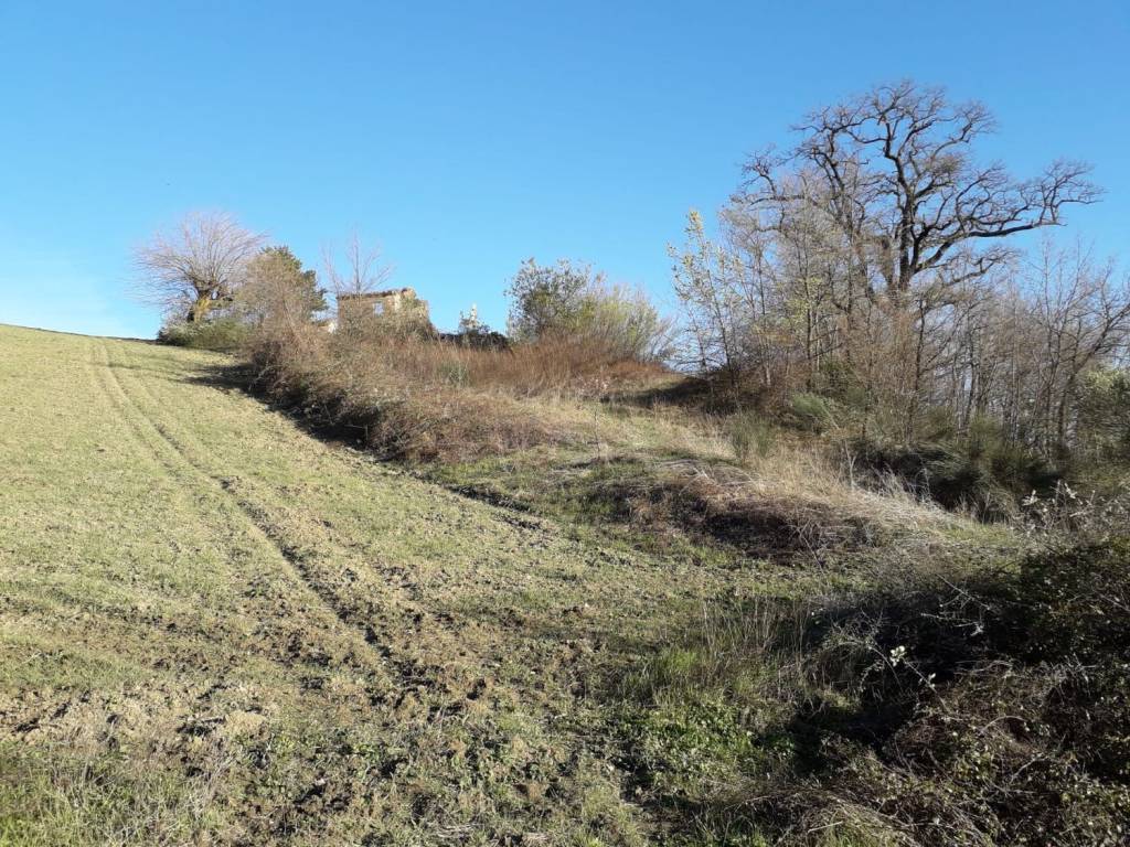Rustico / casale a Tolentino in Contrada Rosciano S.N.C. - Foto 2