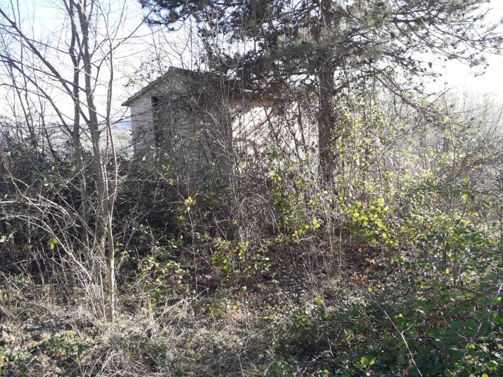 Rustico / casale a Tolentino in Contrada Rosciano S.N.C. - Foto 3