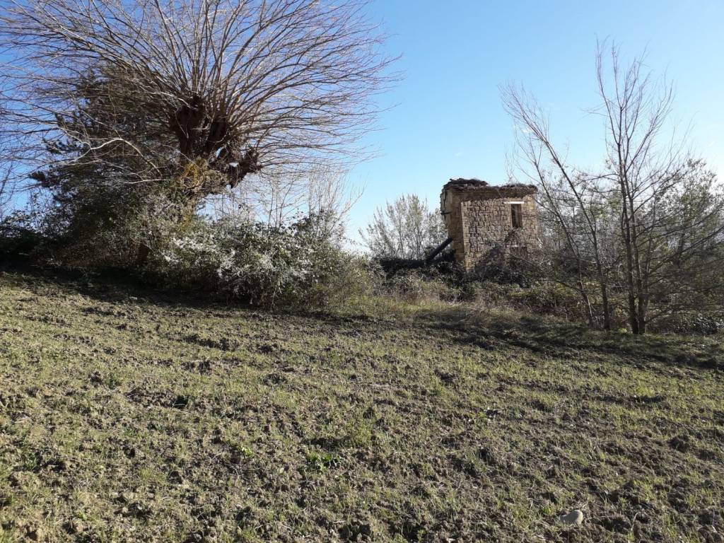 Rustico / casale a Tolentino in Contrada Rosciano S.N.C. - Foto 4