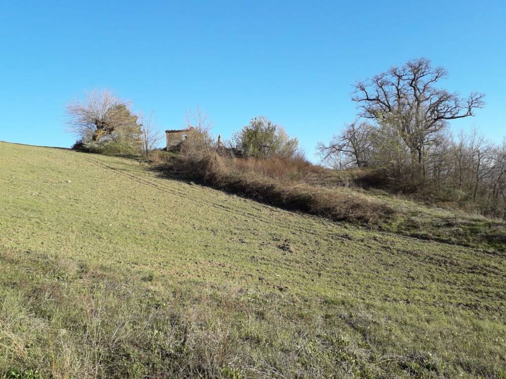 Rustico / casale a Tolentino in Contrada Rosciano S.N.C. - Foto 5