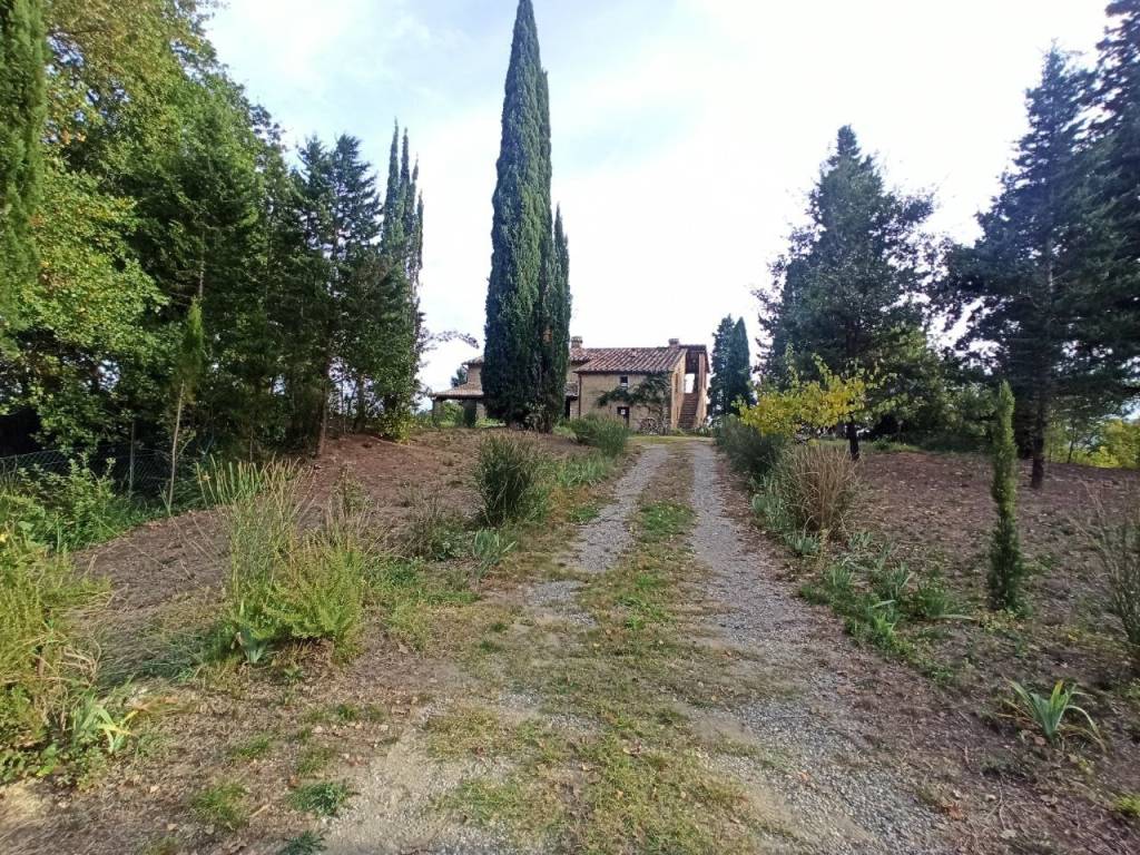 Rustico / casale a Cetona in Strada Statale del Polacco - Foto 2
