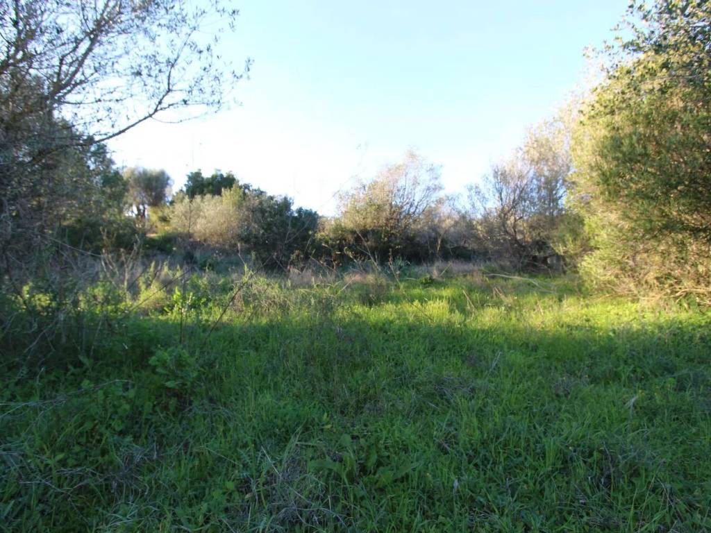 Terreno a Arzachena in Loc. Santa Teresina - Foto 2